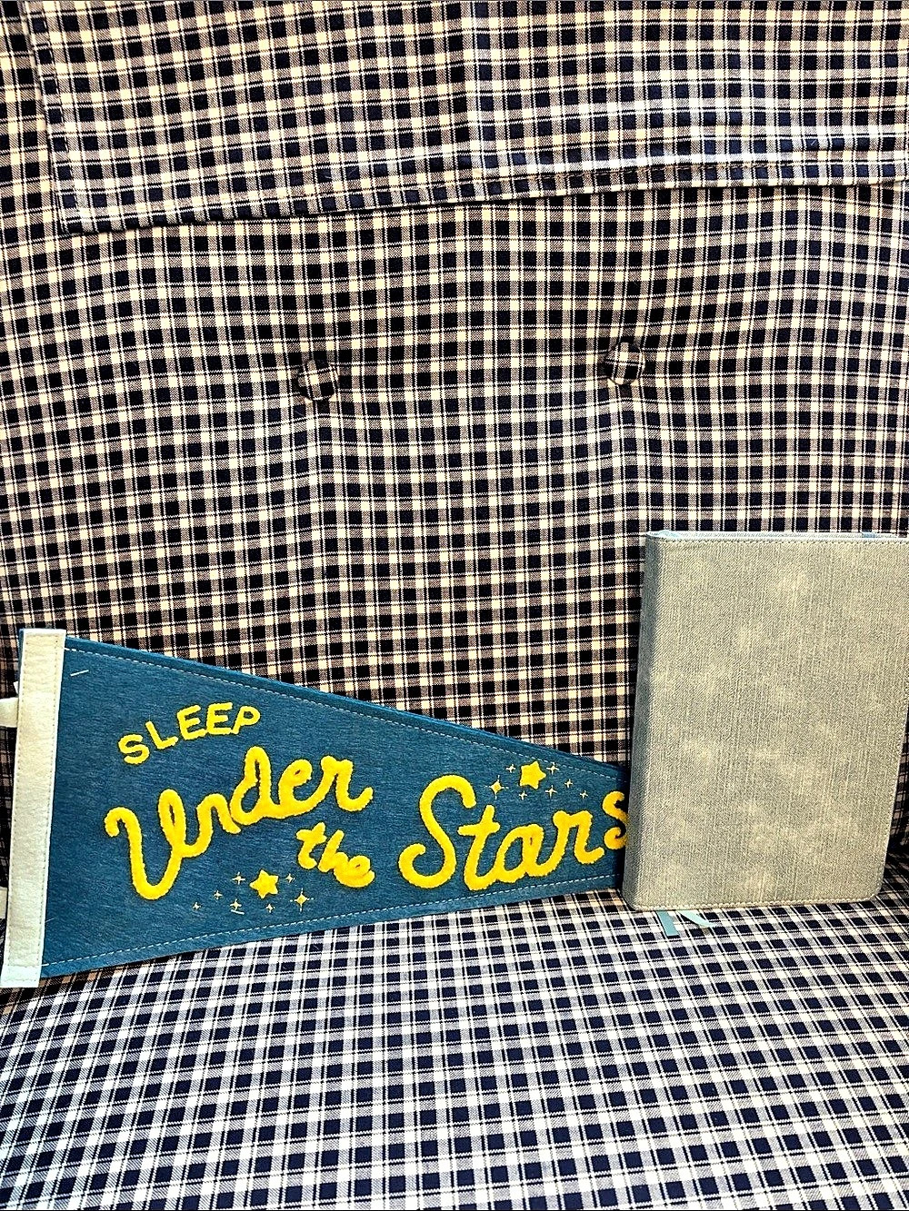 Truth or dare entry, Light blue lined journal